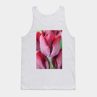 Tulipa  &#39;Ronaldo&#39;  Triumph Group  Tulip Tank Top